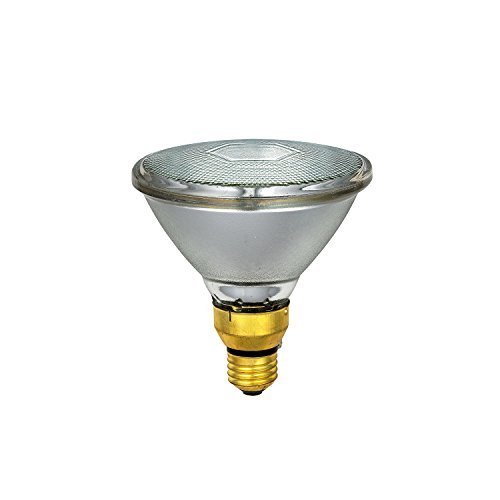 東芝 屋外用 ビームランプ 散光形 100W形 BRF110V80W 10コ Amazon